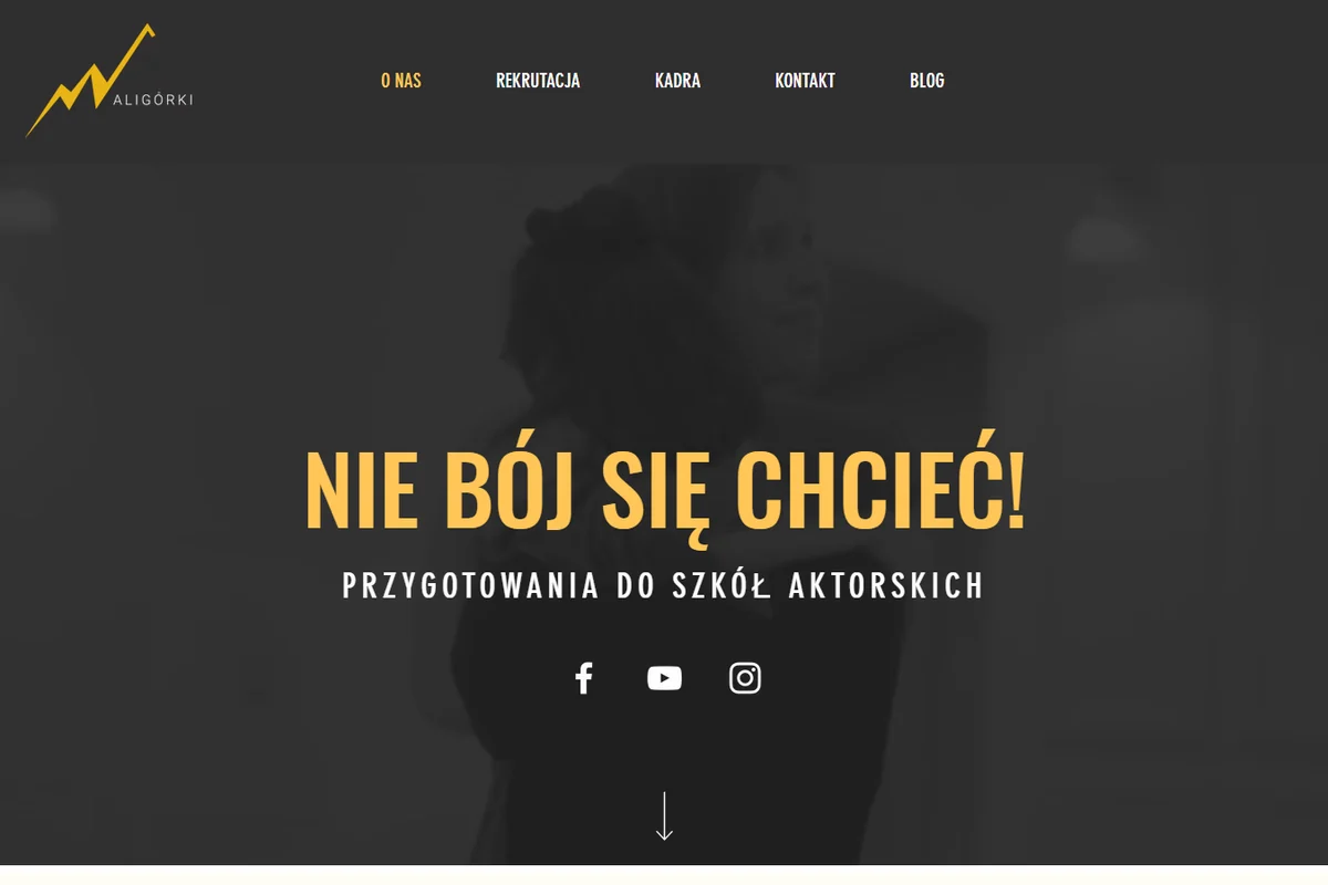 Waligórki Acting School - Public site plus a custom class-scheduling SaaS for Waligórki Acting School. We built the marketing presence and a planning panel admins use daily — and tuned everything for SEO and AI-search visibility (ChatGPT, Perplexity).